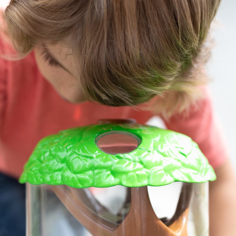 Kids STEM Bug Habitat Kit - Ladybug Garden with Magnification & Activity Guide