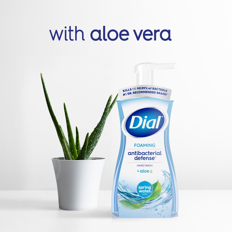 Antibacterial Foaming Hand Soap with Aloe & Spring Water Scent - 7.5 fl oz