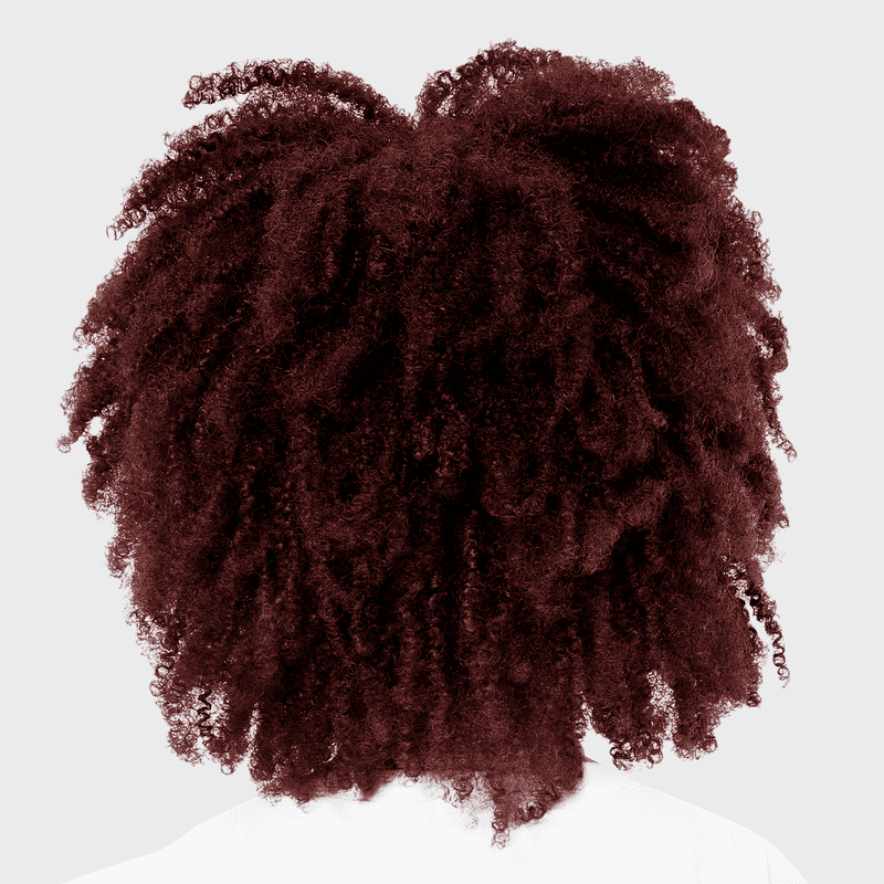 Permanent Hair Color Kit with Bonus Pro Boost - Dark Mahogany Red, All Shades
