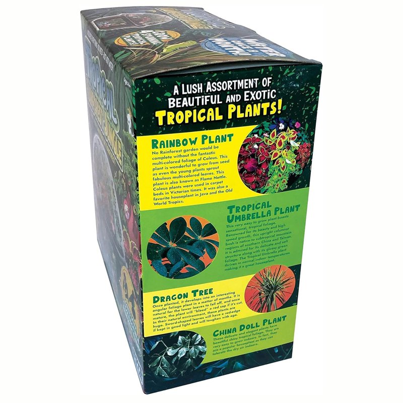 Tropical Rainforest Jungle DIY Biosphere Terrarium Kit - Grow Mini Plants & Animal Figures
