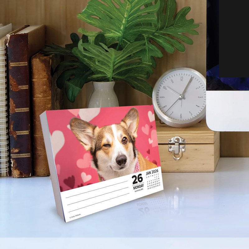 Corgis 2026 Box Calendar - Adorable Pet Dog Short-Legged Dog Breed