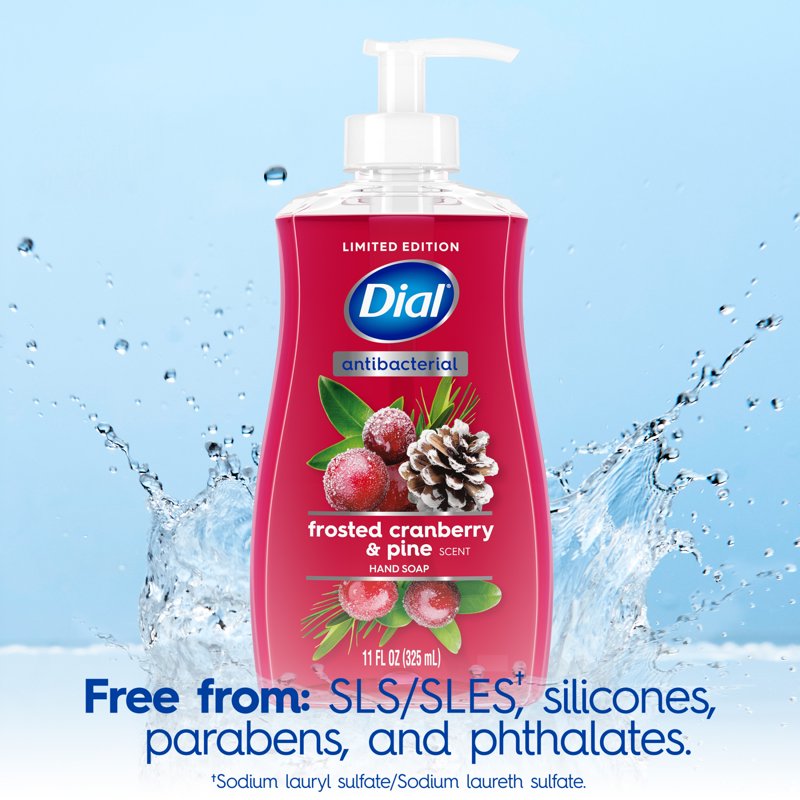 Frosted Cranberry & Pine Liquid Hand Soap - Seasonal Antibacterial 11 oz