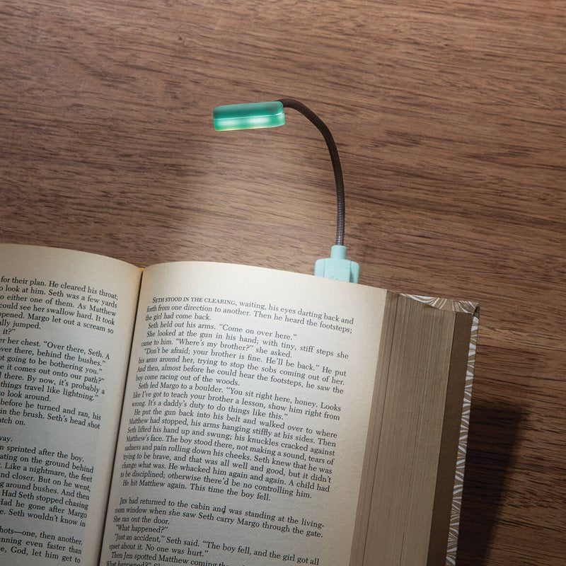 Compact Travel Book Light Clip-On Reading Lamp Mint - Battery Powered