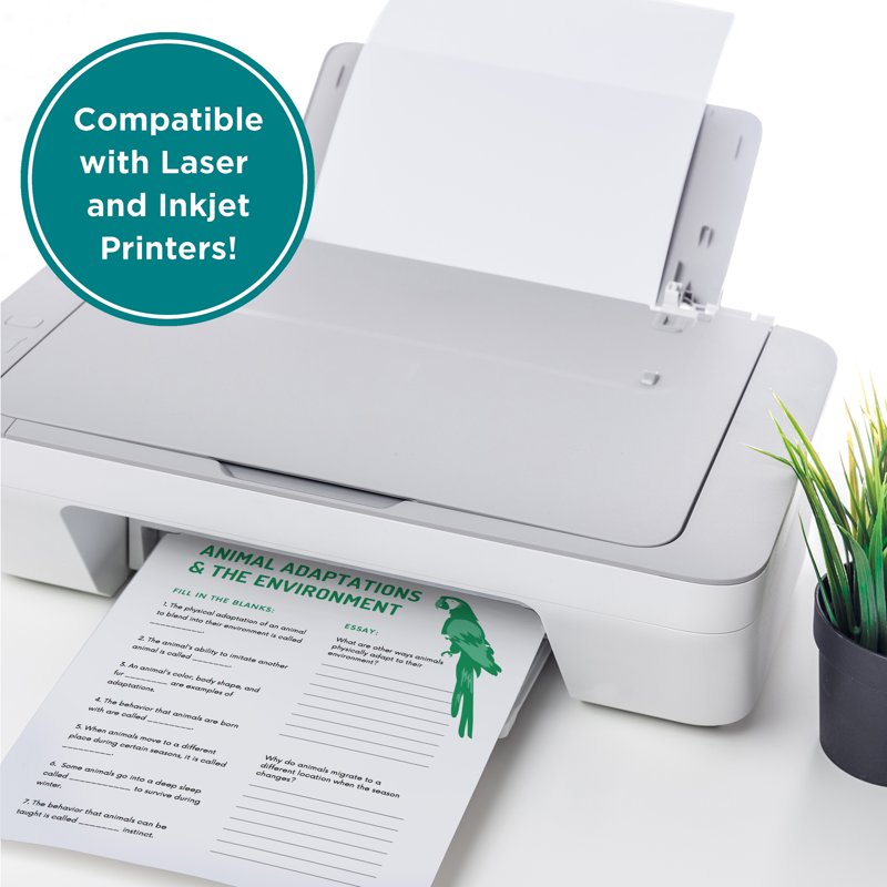 Sustainable 8.5x11 Printer Paper Case - 2500 Sheets, Made in USA