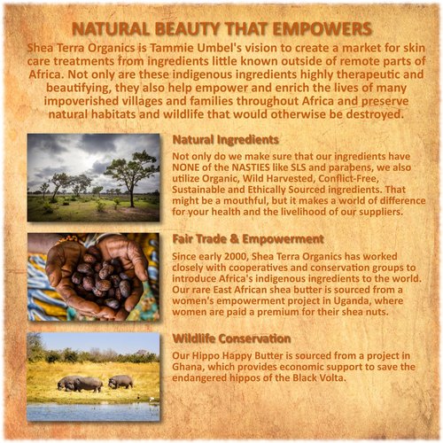 Shea Terra Ethiopian Black Seed Cold-Pressed Extra Virgin Oil | All Natural & Oil to Boost Immune System, Improve Hair Growth & Skin Tone, Manage Chronic Dry Skin, Eczema & More - 8 oz
