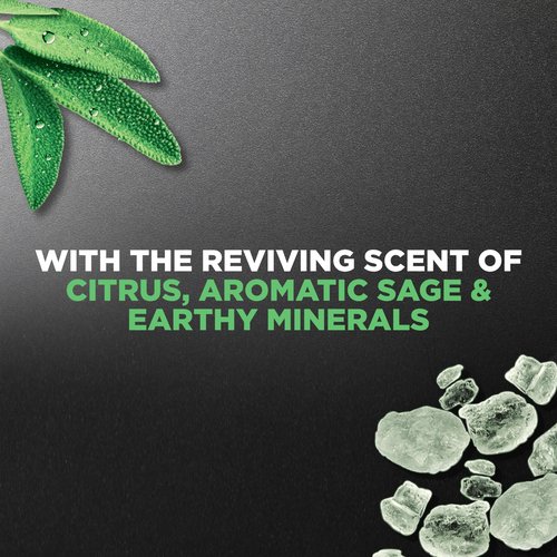 Dove Men+Care Body Wash Mineral + Sage 4 Count for Men's Skin Care Effectively Washes Away Bacteria While Nourishing Your Skin 18 oz