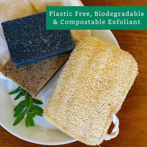 Natural Loofah Exfoliating Sponge (3 Pack) - Loofa Exfoliating Body Scrubber - Biodegradable Organic Loofah Sponge - Shower Luffa Sponges - Shower Lufa - Estropajos para el Cuerpo