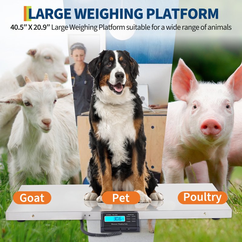 Digital Livestock Scale 1100 lbs Stainless Steel Platform Animal Floor Scale
