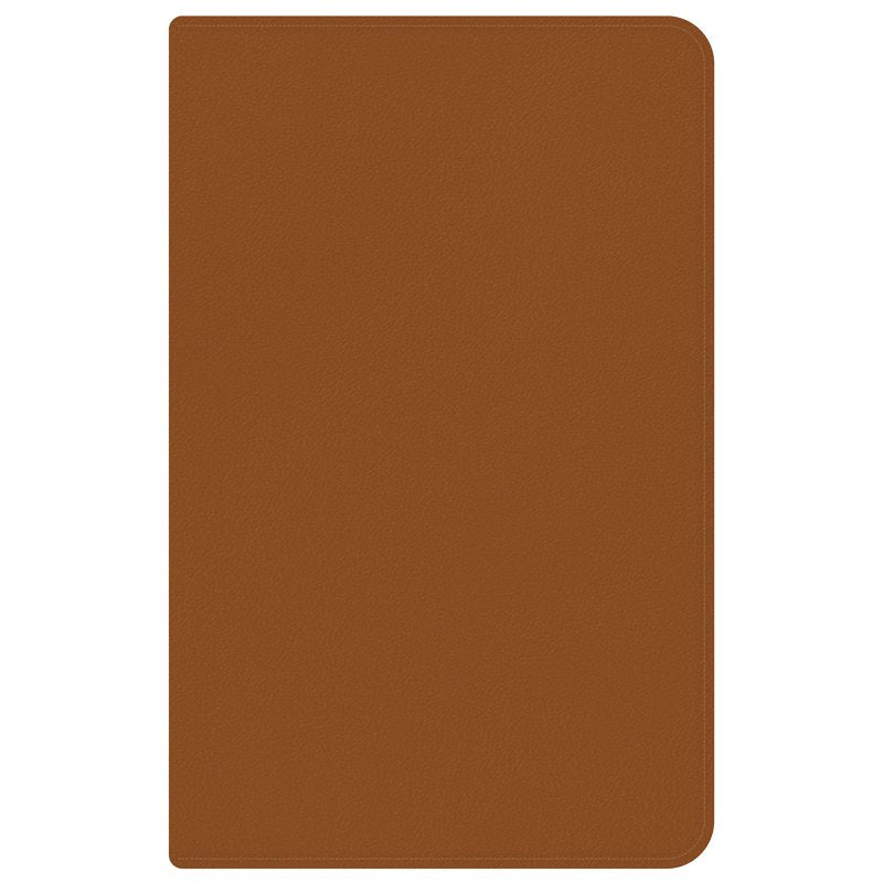 Blue Sky Perpetual Monthly Weekly Planner 5x8 Faux Leather Tan
