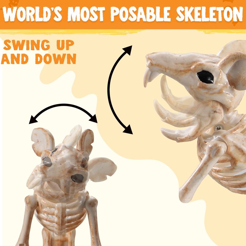 Joyfy 2 Pack 11” Rats Skeleton Halloween Decoration - Posable Plastic Animal Skeletons (Variation: Mouse)
