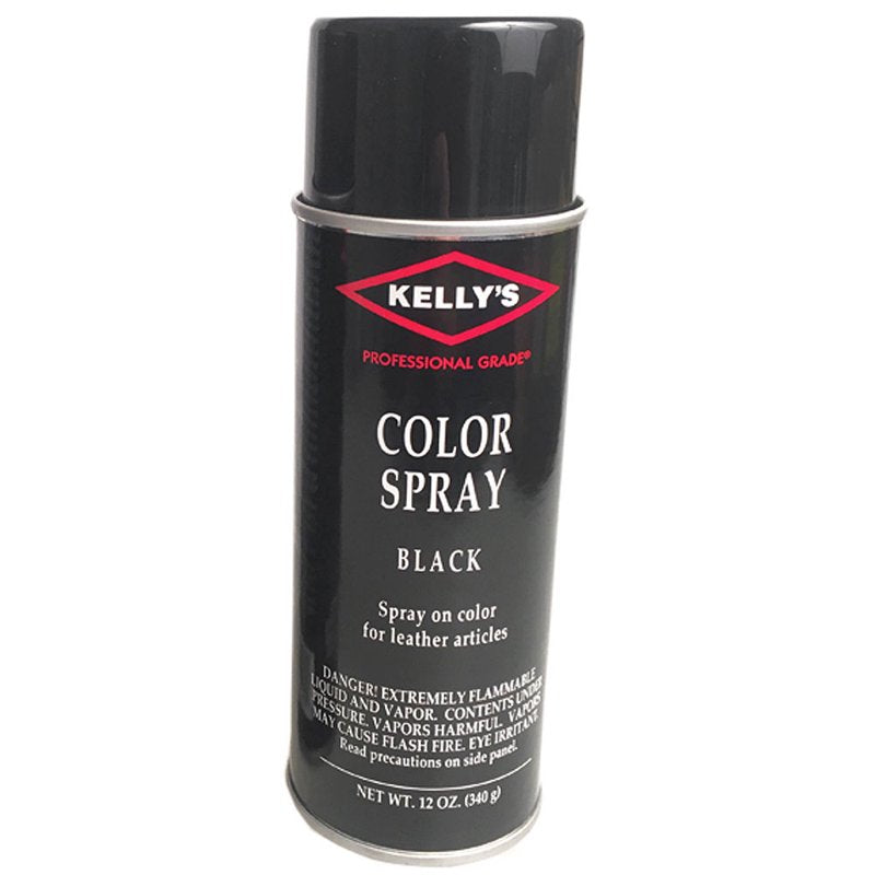 Leather Spray Dye - Instant Color for Leather Articles, Black, 10 oz Aerosol