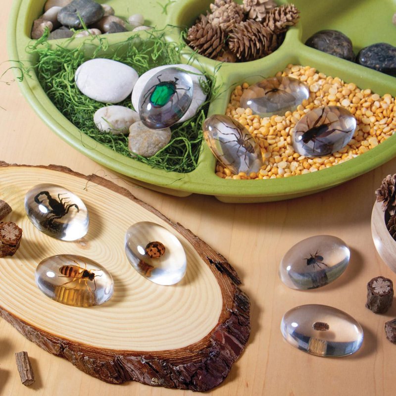 Educational Bug Specimen Stones Set - 9 Pieces for Early Learning