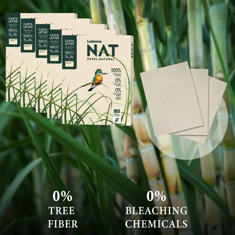 Sustainable Sugarcane Pulp Printer Paper - Letter Size, 5 Reams, 2500 Sheets
