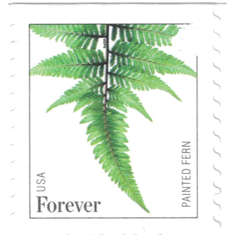Ferns Postage Stamps Collection - 20, 50, or 100 All Variants