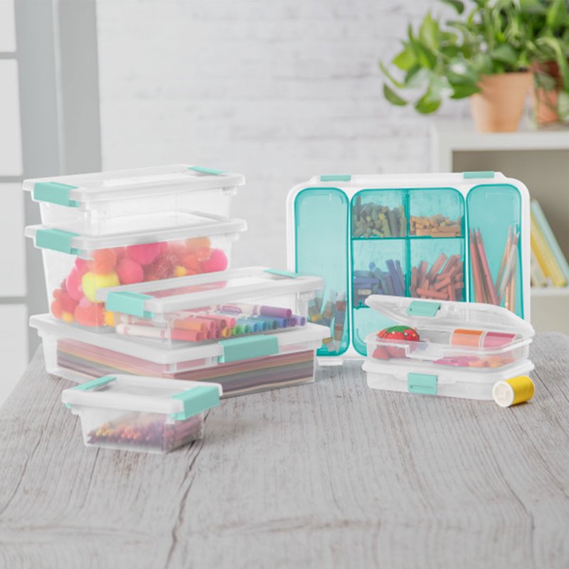 Small Clip Storage Boxes with Lids - Clear Plastic Organizer Set