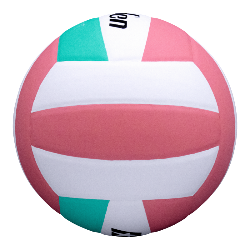 Indoor Volleyball for Youth Training - Official Size & Lightweigh