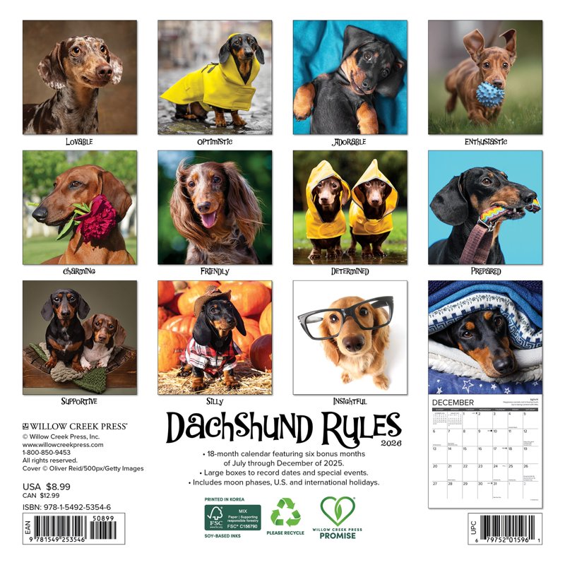 Dachshund Rules 2026 Mini Wall Calendar - Dog Lover Gift