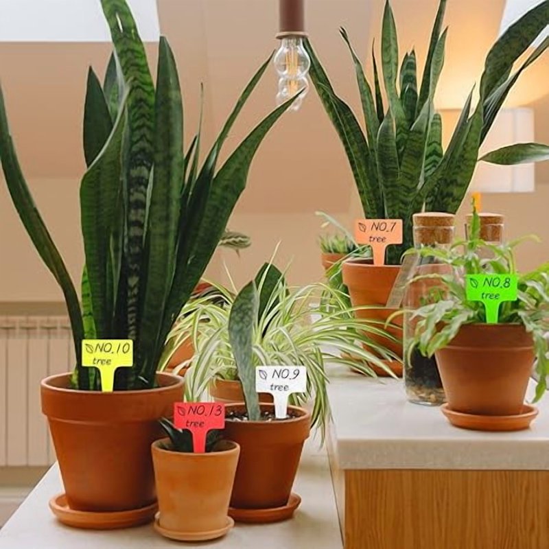 Waterproof Plastic Plant Labels Set - 100 T-Shaped Garden Markers for Outdoor Plants