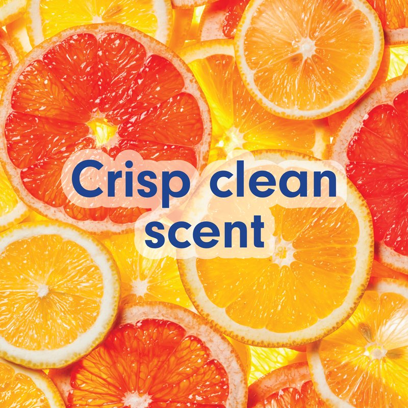 Softsoap Antibacterial Liquid Hand Soap Refill Pack - Crisp Clean Scent