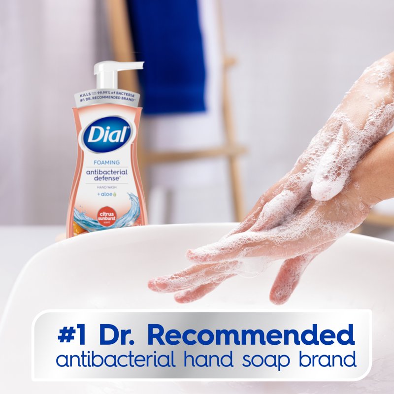 Antibacterial Foaming Hand Soap with Aloe - Citrus Sunburst Scent, 6 Pack