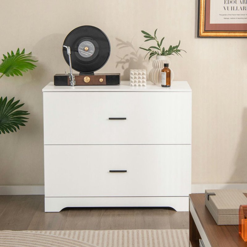 2-Drawer File Cabinet with Adjustable Steel Bars for Office & Home Storage