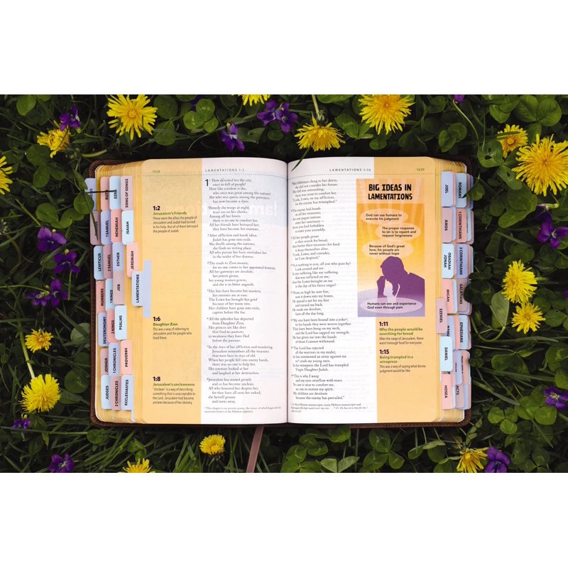 Kids' Visual Study Bible with Full-Color Illustrations & Peel & Stick Tabs - NIV, Leathersoft, Bronze, Hardcover