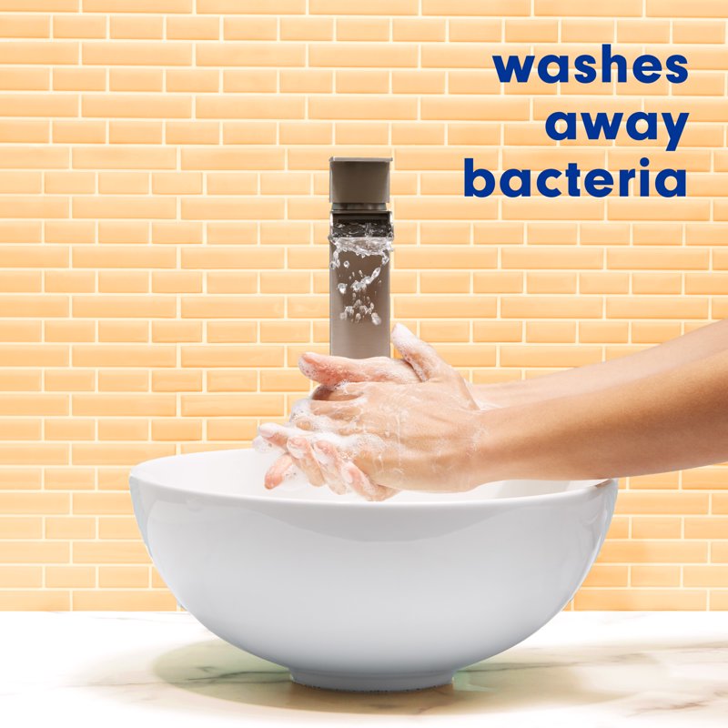 Antibacterial Hand Soap with Fresh Citrus Scent – Moisturizing & Germ Elimination