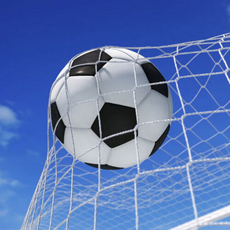 Portable 12ft x 6ft Soccer Goal – Powder Coated Steel, Backyard Training Net