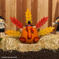 Thanksgiving Turkey Craft Kit with Metal Feathers for Pumpkin & Fruit Decoration
