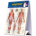 Anatomy Easel Book - Human Body Reference Guide with Spiral Stand