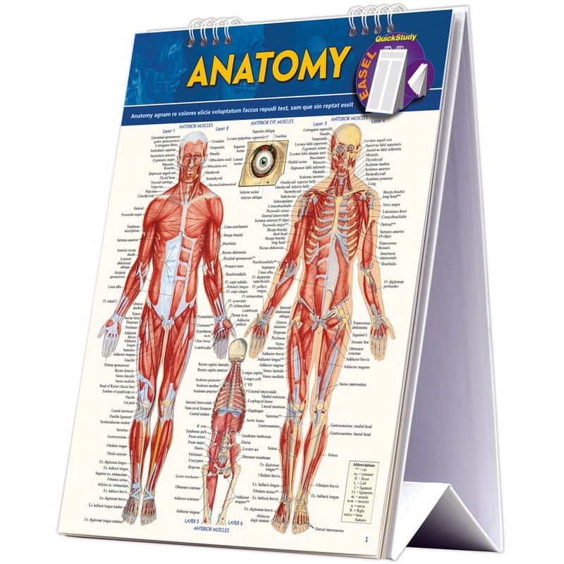 Anatomy Easel Book - Human Body Reference Guide with Spiral Stand