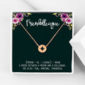 Stainless Steel Friendship Necklace with Compass Pendant – Gift for Best Friend, Coworker, Birthday, Christmas, Rose Gold or Silver
