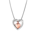 Floating Heart Cremation Jewelry Necklace for Ashes Memorial Keepsake