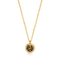 Essential Oil Diffuser Necklace Jewelry Stainless Steel Aromatherapy Pendant Gift Box