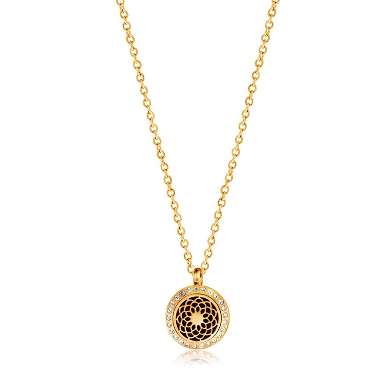 Essential Oil Diffuser Necklace Stainless Steel Aromatherapy Jewelry Gift Box