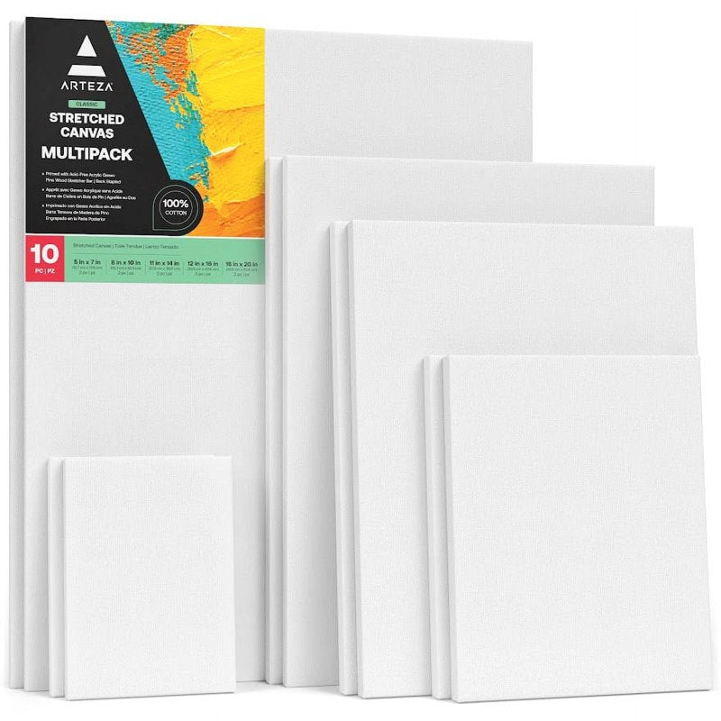 Assorted Large Stretched Canvas Set for Painting and Mixed Media