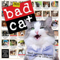 Bad Cat Wall Calendar 2025: Hilarious Feline Misfits with Attitude