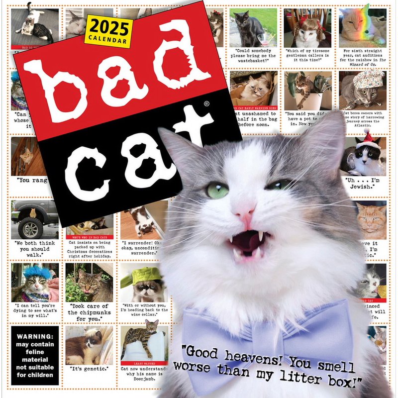 Bad Cat Wall Calendar 2025: Hilarious Feline Misfits with Attitude