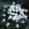 82 Ft LED String Lights for Holiday & Party Decor Waterproof Indoor Outdoor