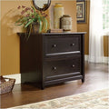 Black 2 Drawer File Cabinet for Office & Home Organization