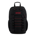 Water-Resistant Laptop Backpack with Padded Straps & Multiple Compartments