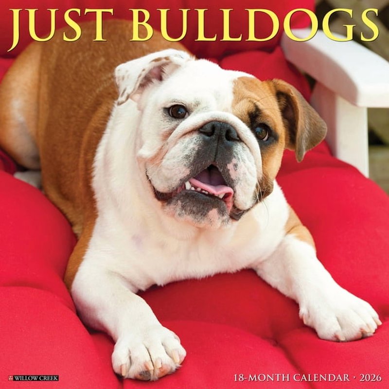 Bulldogs 2026 Wall Calendar - Cute Dog Portraits for Home & Office