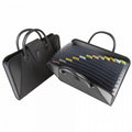 Expanding File Organizer with Handles, 13 Pockets for Documents - Black