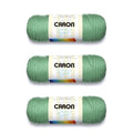 Caron Simply Soft Sage Yarn 3-Pack - Worsted Acrylic Craft Thread