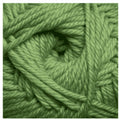 Superwash Merino Wool Yarn - Green Tea, 220 Yards, Worsted Weight