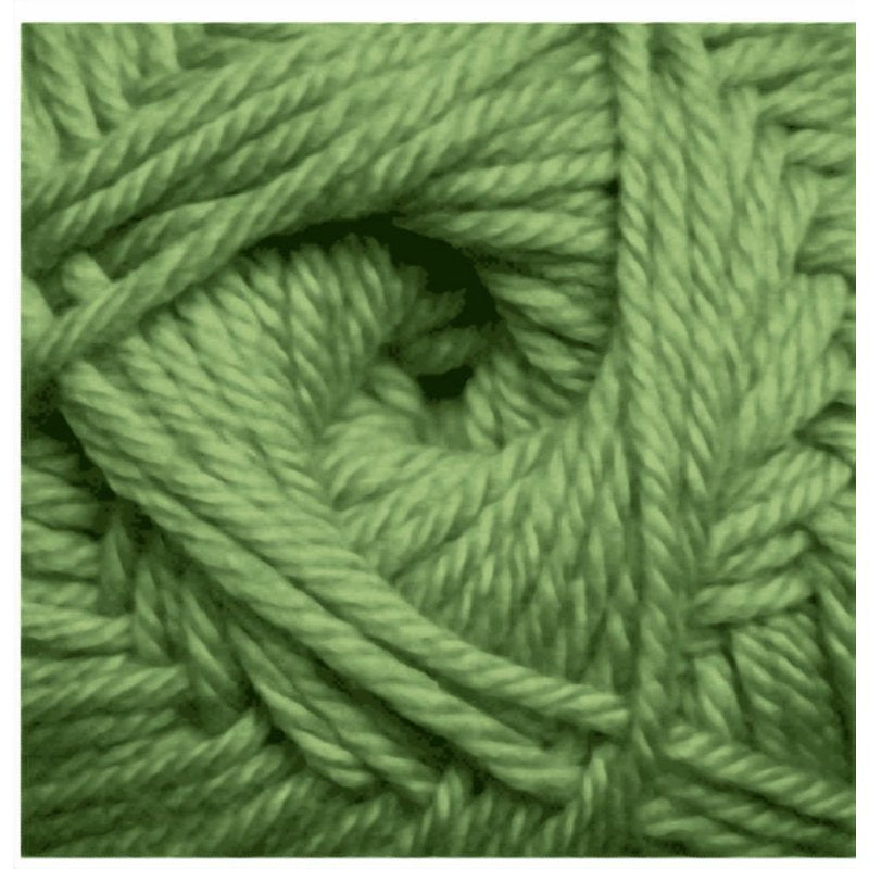 Superwash Merino Wool Yarn - Green Tea, 220 Yards, Worsted Weight