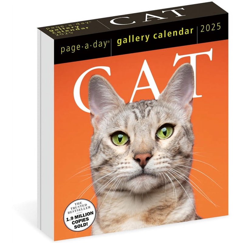 Cat Calendar 2025 Gallery Desk Calendar with Stunning Cat Photos - Desktop Display