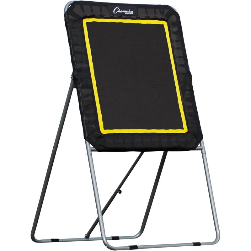 Lacrosse Rebounder Ball Return Net for Training & Practice - 4' x 3'