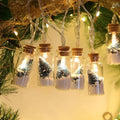 Indoor Christmas String Lights with Glass Drift Bottles - Battery Powered 6.5ft Warm White