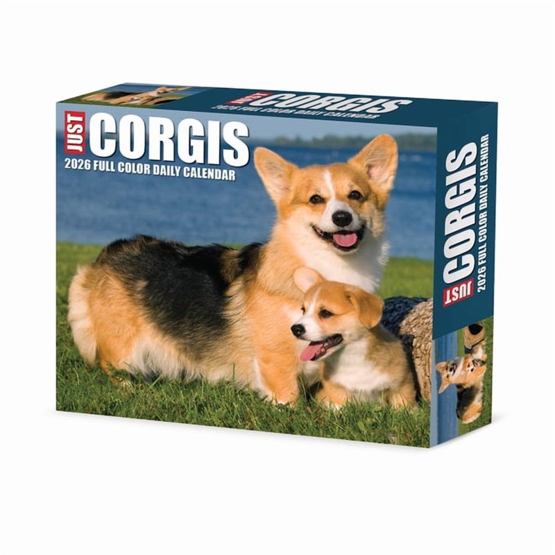 Corgis 2026 Box Calendar - Adorable Pet Dog Short-Legged Dog Breed